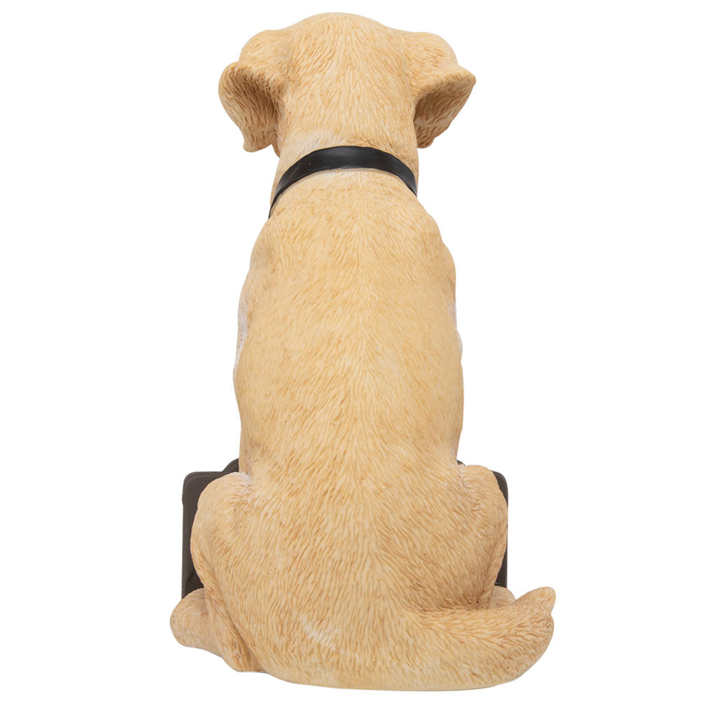 ニューカッスル・ユナイテッドFC ラブラドール・ノーム