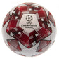 UEFA Champions League Red Star Football