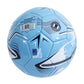 Manchester City FC Turbine Skill Ball