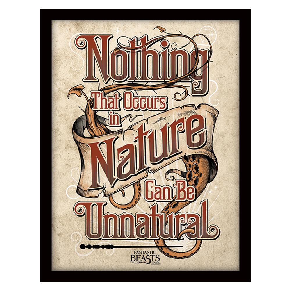 Fantastic Beasts Framed Picture Nature 16 x 12