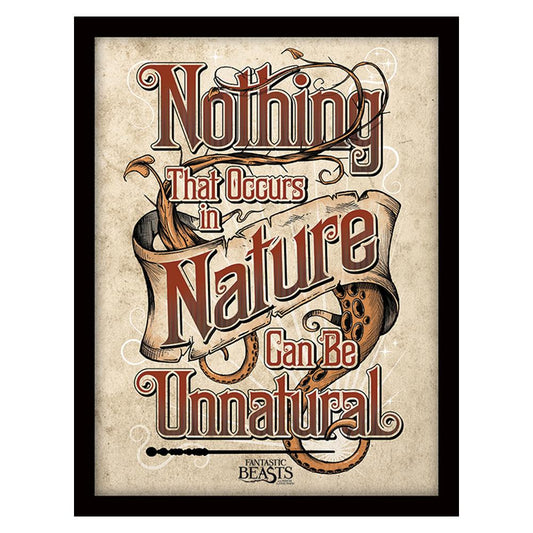 Fantastic Beasts Framed Picture Nature 16 x 12