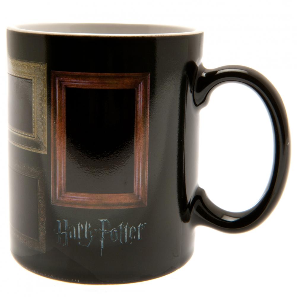 Harry Potter Heat Changing Mug Portraits