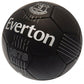 Everton FC Football RT