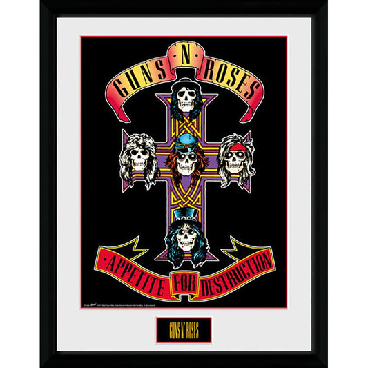 Guns N Roses 图片 16 x 12