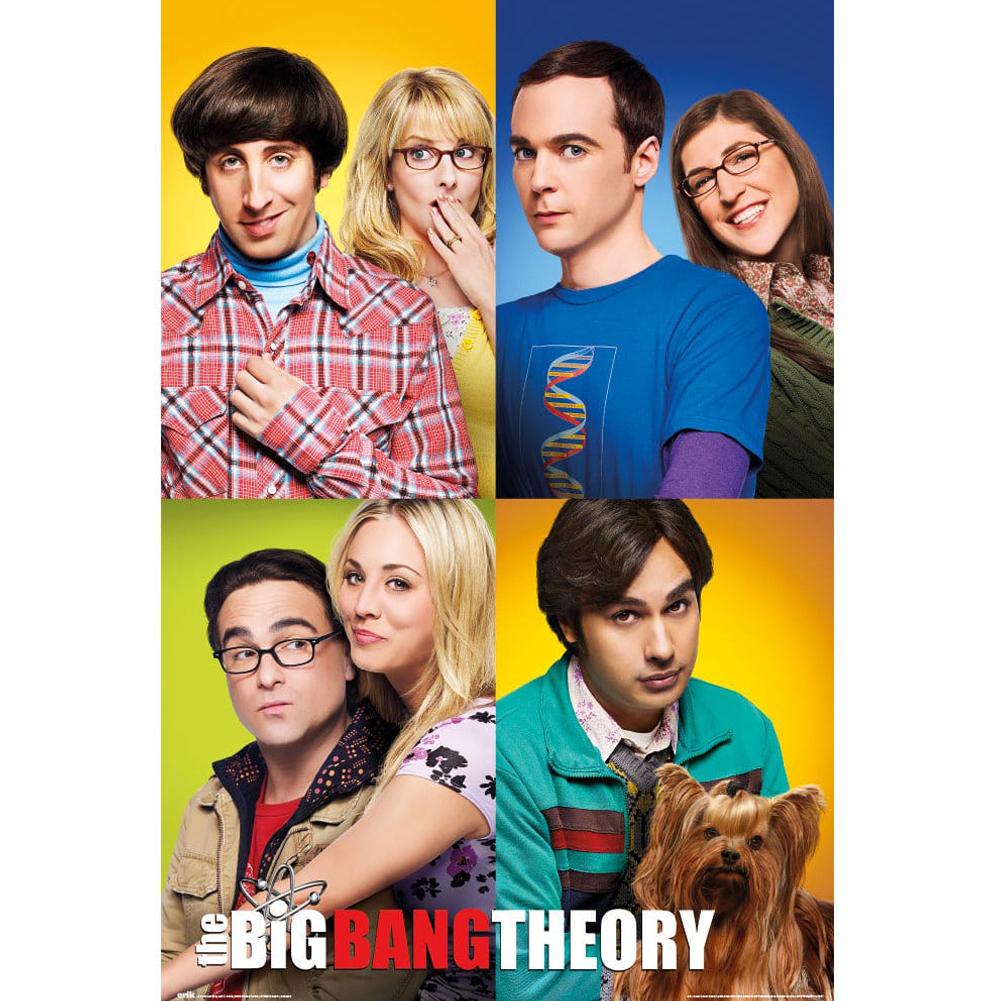 The Big Bang Theory Poster Group 137