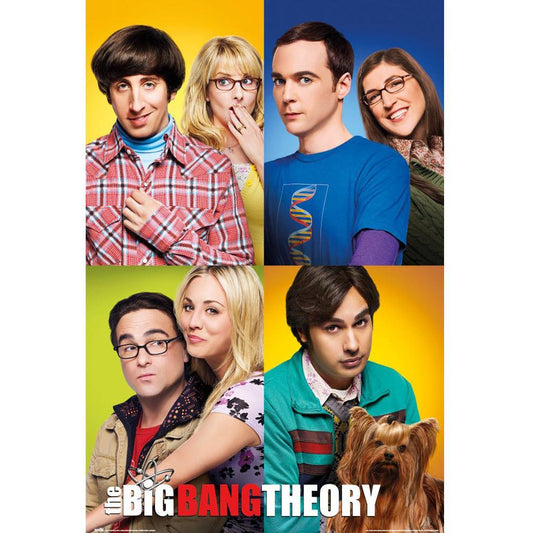 The Big Bang Theory Poster Group 137