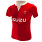 Wales RU Shirt & Short Set 2/3 yrs QT