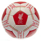 Liverpool FC Signature Gift Set