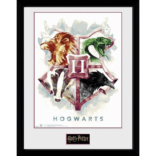 Harry Potter Picture Watercolour 16 x 12