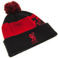 Liverpool FC Quick Check Ski Hat BK