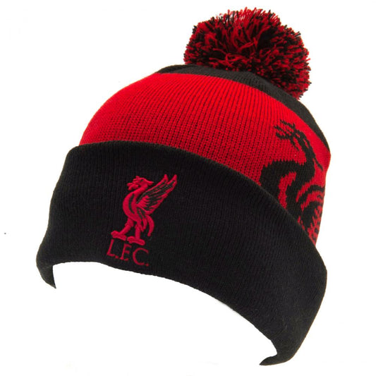 Liverpool FC Quick Check Ski Hat BK