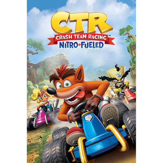 Crash Bandicoot Poster CTR 202