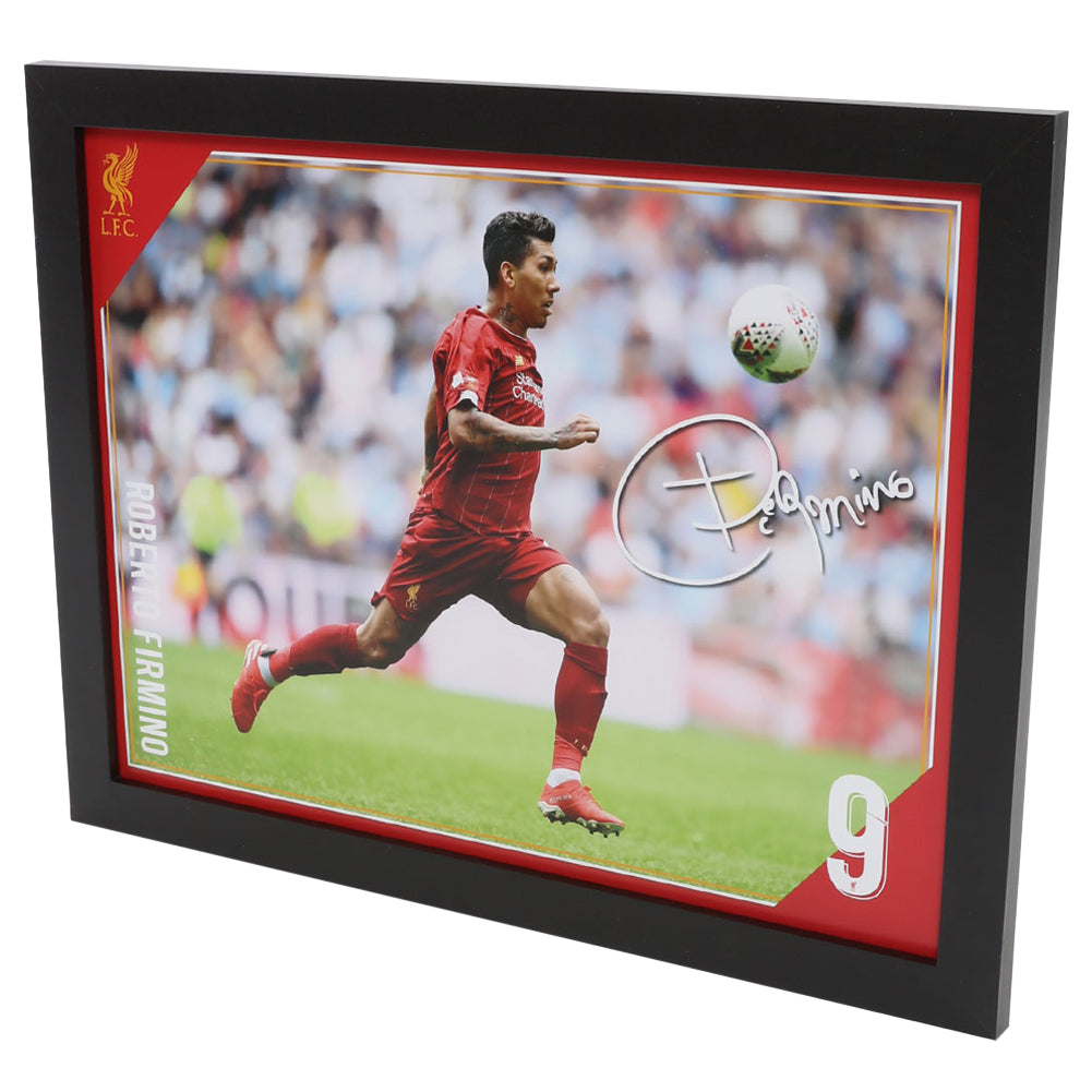 Liverpool FC Picture Firmino 16 x 12