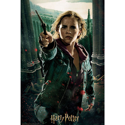 Harry Potter 3D Image Puzzle 300pc Hermione