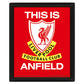 Liverpool FC Framed 3D Picture