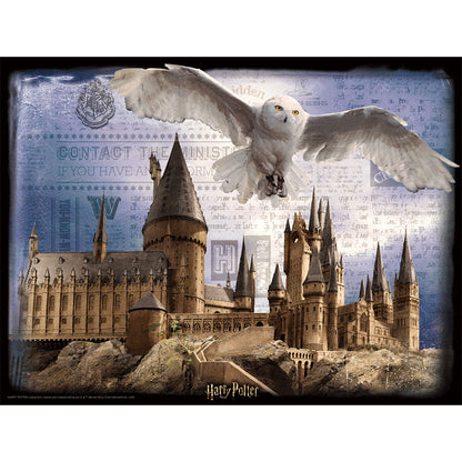Harry Potter 3D Image Puzzle 500pc Hogwarts & Hedwig