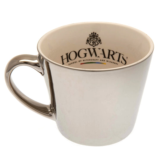 Harry Potter Mirror Mug & Plate Set
