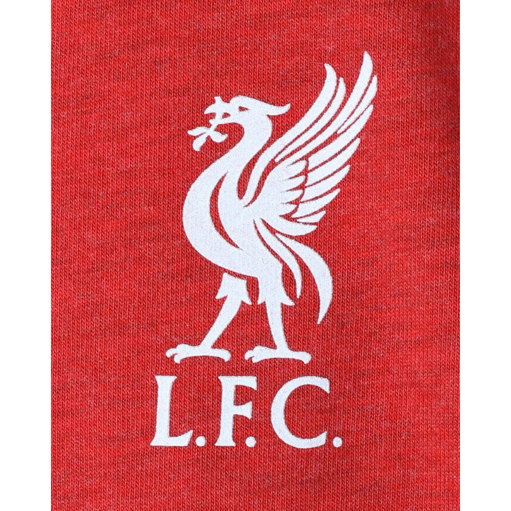 Liverpool FC YNWA T Shirt Mens Red Large