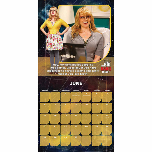 The Big Bang Theory Calendar 2022