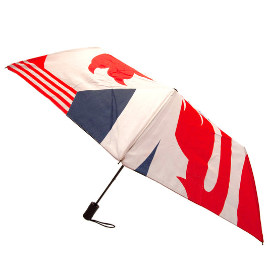 England FA Automatic Umbrella