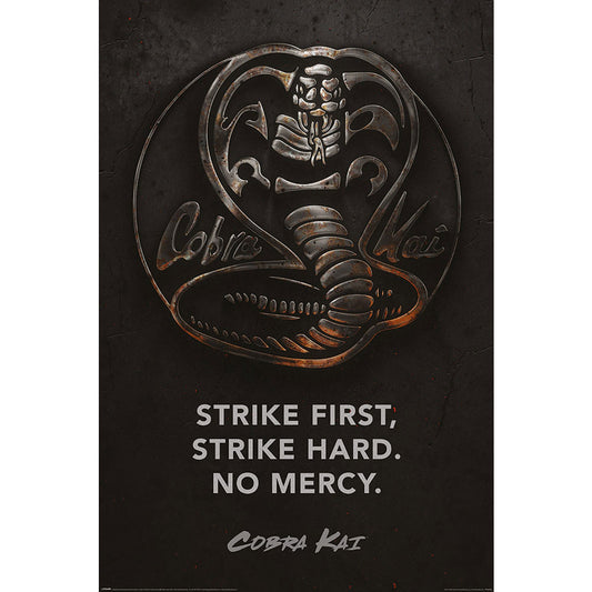 Cobra Kai Poster Metal 205