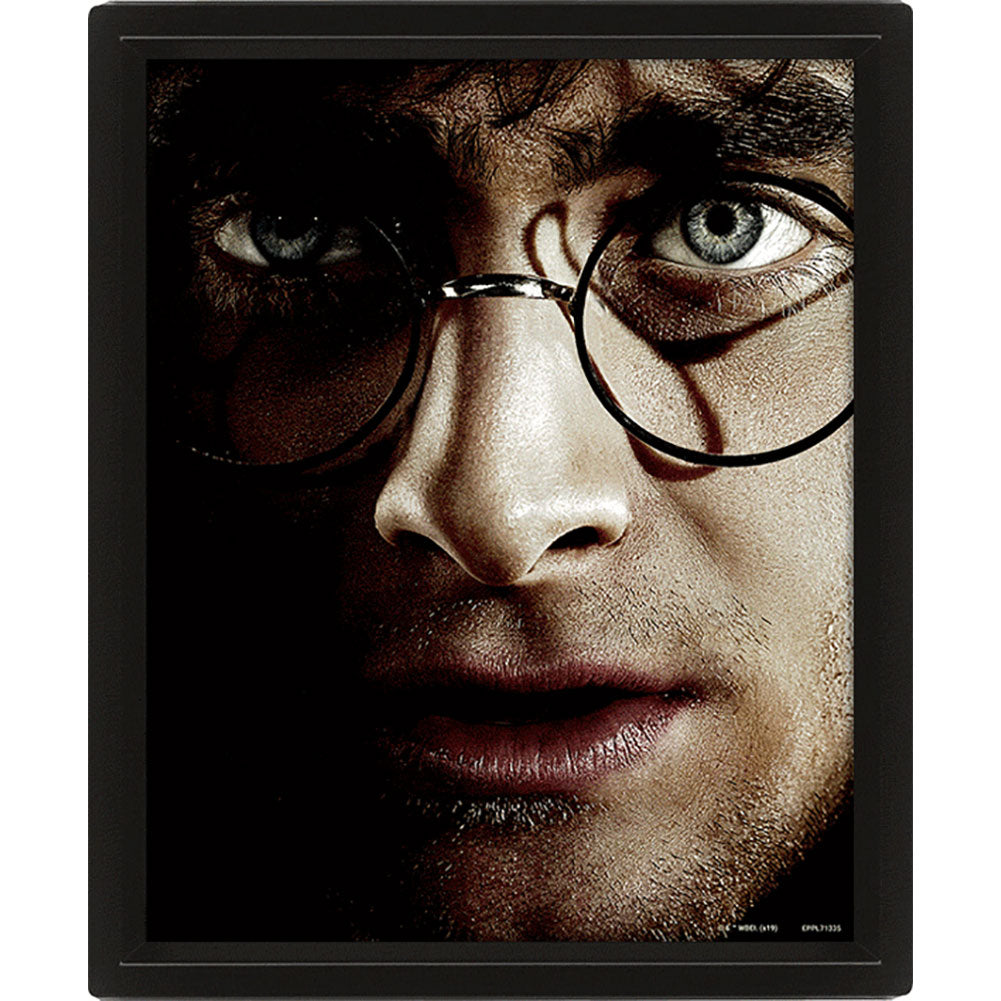 Harry Potter Framed 3D Picture