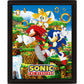 Sonic The Hedgehog Framed 3D Picture