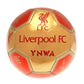 Liverpool FC Sig 26 Skill Ball