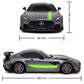 Mercedes AMG GT PRO Radio Controlled Car 1:24 Scale