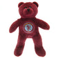 Aston Villa FC Mini Bear