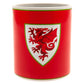 FA Wales Mug FD