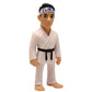 Cobra Kai MINIX Figure Daniel